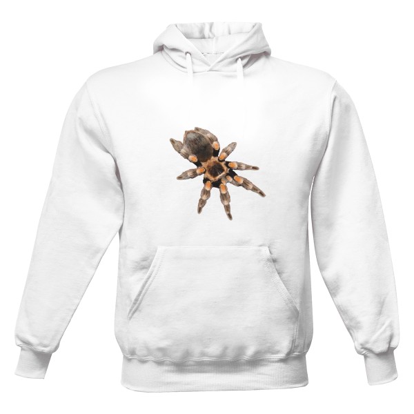 Pánská mikina s kapucí s potiskem Brachypelma hamorii (ex.smithi)