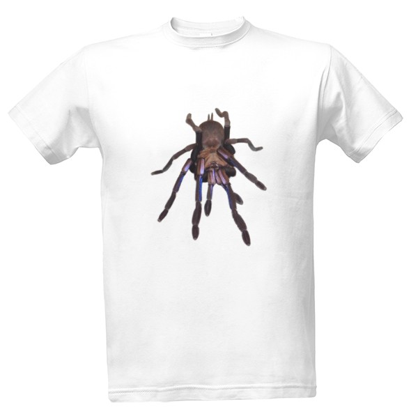 Chilobrachys natanicharum