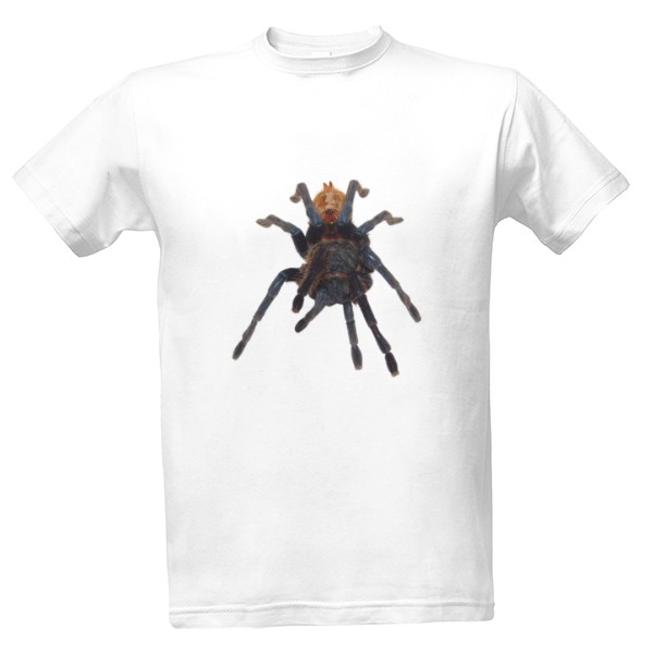 Chromatopelma cyaneopubescens