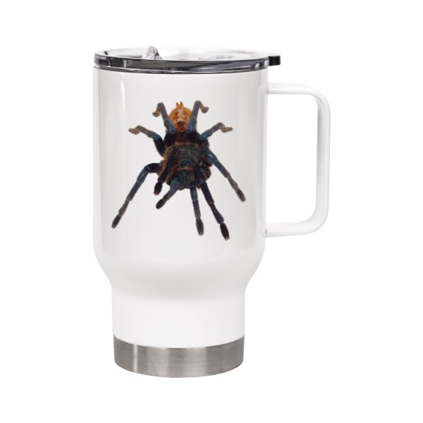 Chromatopelma cyaneopubescens