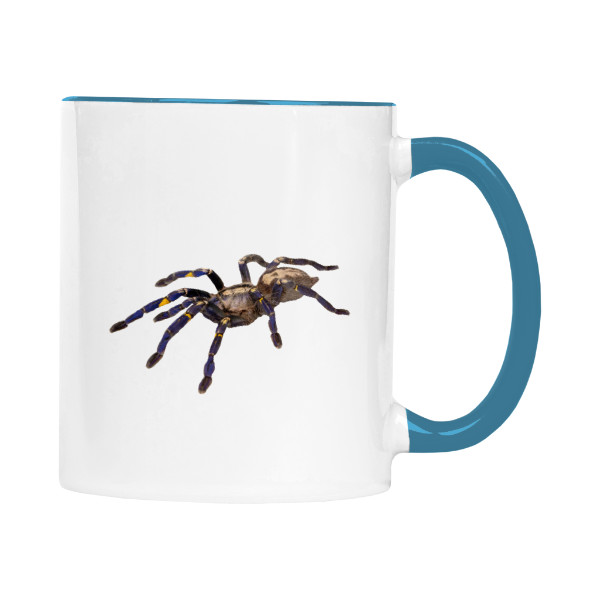 Poecilotheria metallica