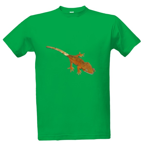 Pagekon řasnatý