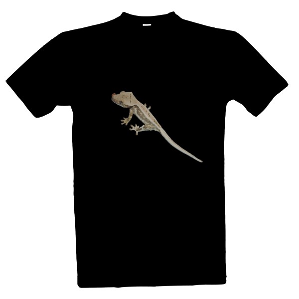 Pagekon řasnatý