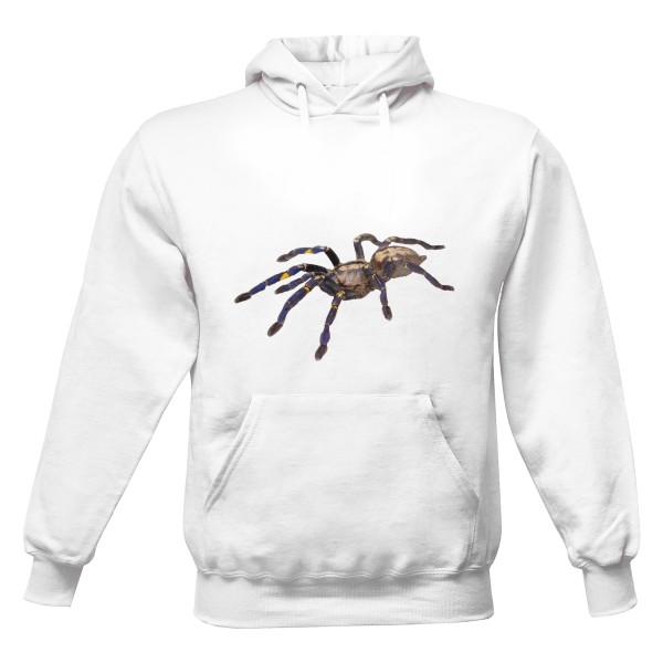 Poecilotheria metallica