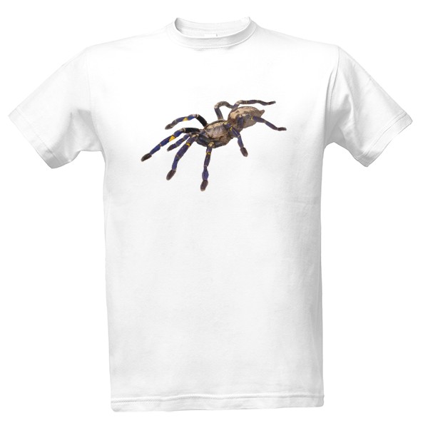 Poecilotheria metallica